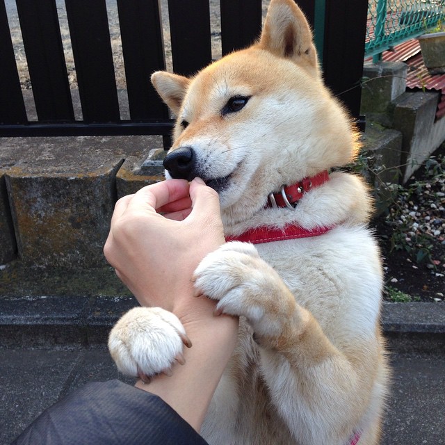 开云体育入口-西甲国家德比，门迪节奏掌控的魔法之夜