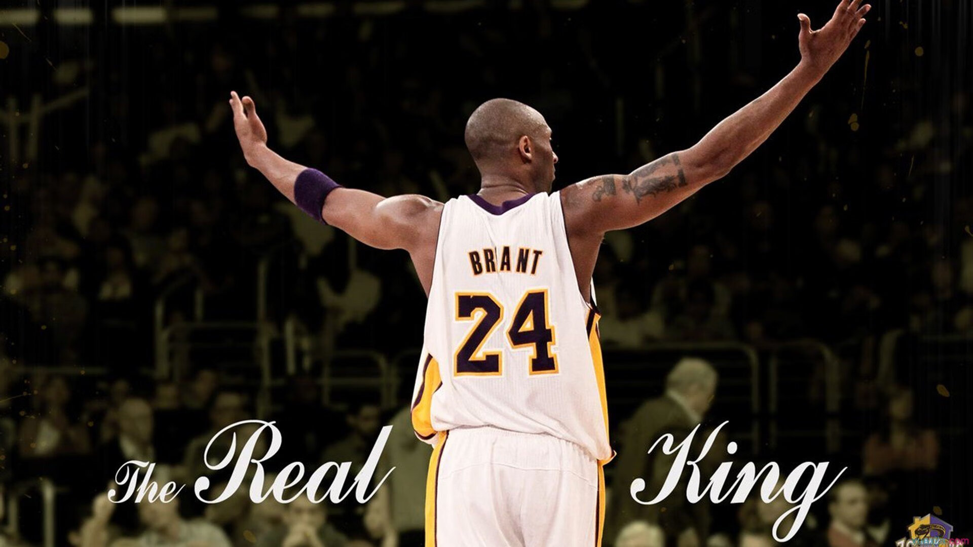 开云APP-教科书级的防守美学，门迪如何让巴西防线成为叹息之墙